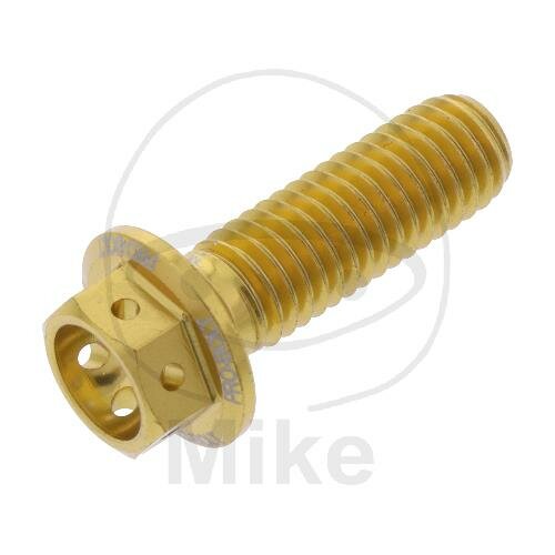 SCHR 6KT M8X1.25MM 25MM AL RAC GO