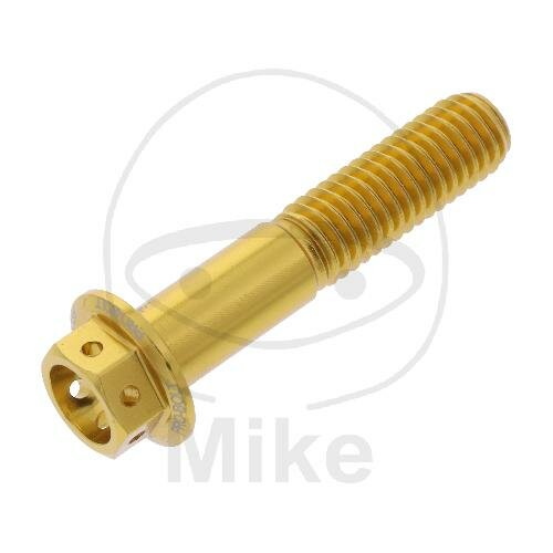 SCHR 6KT M8X1.25MM 40MM AL RAC GO