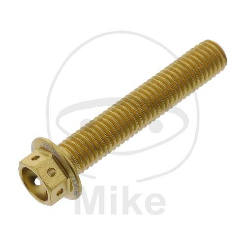 SCHR 6KT M8X1.25MM 45MM AL RAC GO