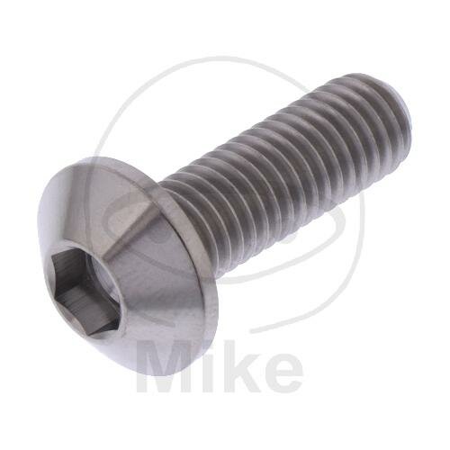 Tornillo M8x1,25x25 para BMW HP4 S 1000 K 1600 KTM Duke 690 790 Superduke 1290 Supermoto 990