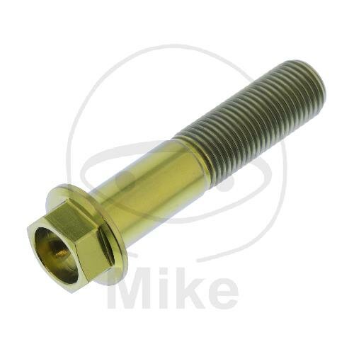 SCHR 6KT M12X1.25MM 55MM TI GO