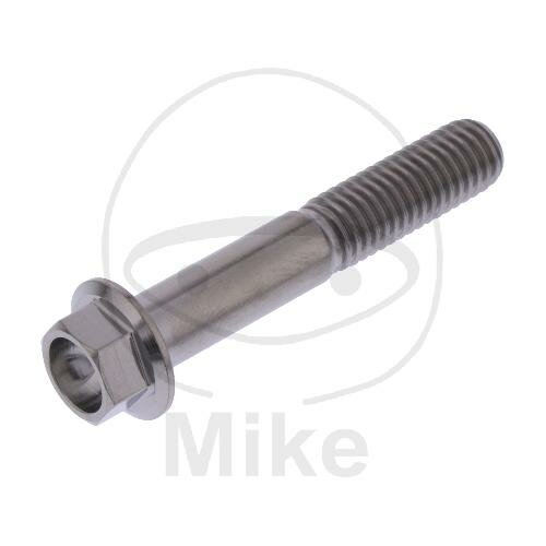 SCHR 6KT M8X1.25MM 47MM TI