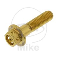 SCHR 6KT M6X1.00MM 25MM AL RAC GO