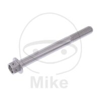 SCHR 6KT M6X1.00MM 60MM VA A4 RAC