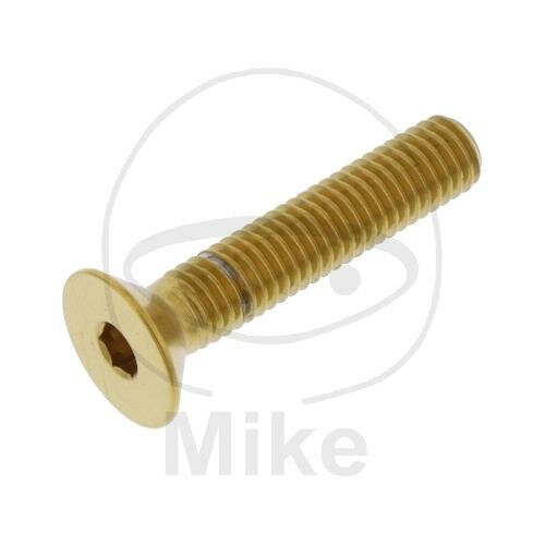 SCHR SENK M5X0.8MM 25MM VA A4 GO