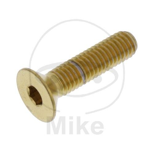 SCHR SENK M6X1.00MM 25MM VA A4 GO