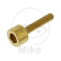 SCHR TANKDECKEL M4X0.7MM 20MM VA A4 GO