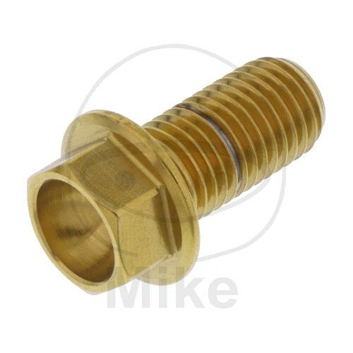 SCHR 6KT M10X1.25MM 20MM VA A4 GO