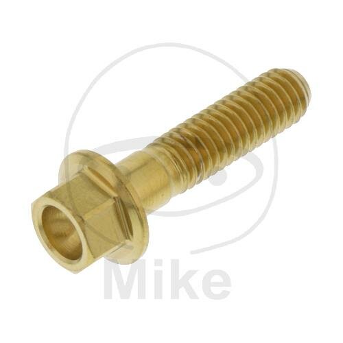 SCHR 6KT M6X1.00MM 25MM VA A4 GO