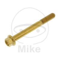 SCHR 6KT M6X1.00MM 55MM VA A4 GO