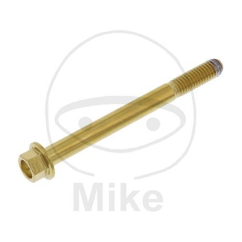 SCHR 6KT M6X1.00MM 65MM VA A4 GO