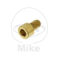 SCHR ZYL M5X0.8MM 8MM VA A4 GO