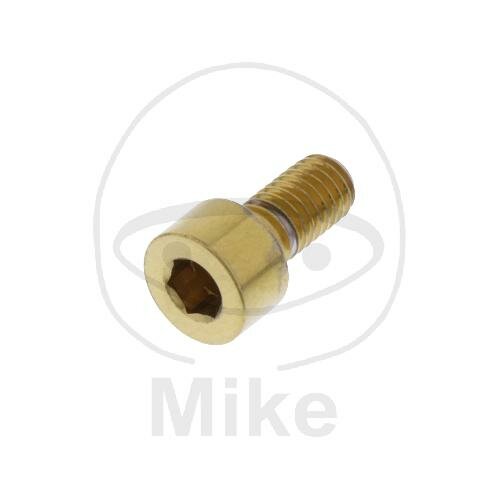 SCHR ZYL M5X0.8MM 10MM VA A4 GO