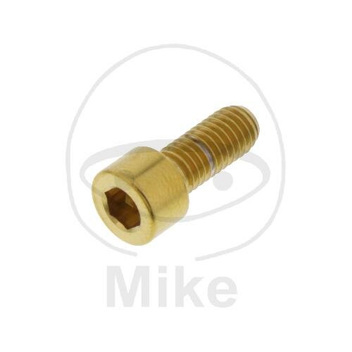 SCHR ZYL M5X0.8MM 12MM VA A4 GO