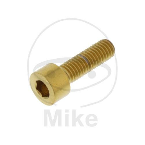 SCHR ZYL M5X0.8MM 16MM VA A4 GO