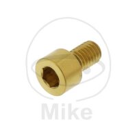 SCHR ZYL M6X1.00MM 10MM VA A4 GO