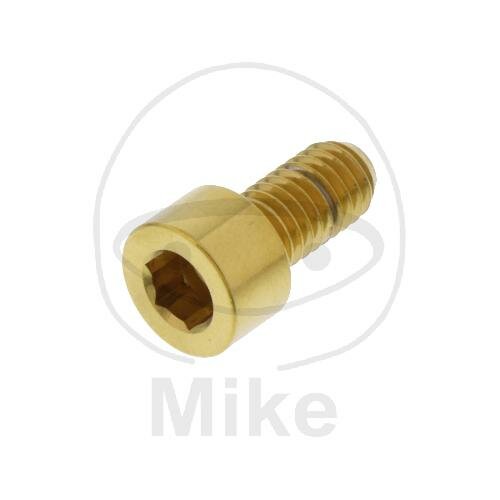 SCHR ZYL M6X1.00MM 12MM VA A4 GO