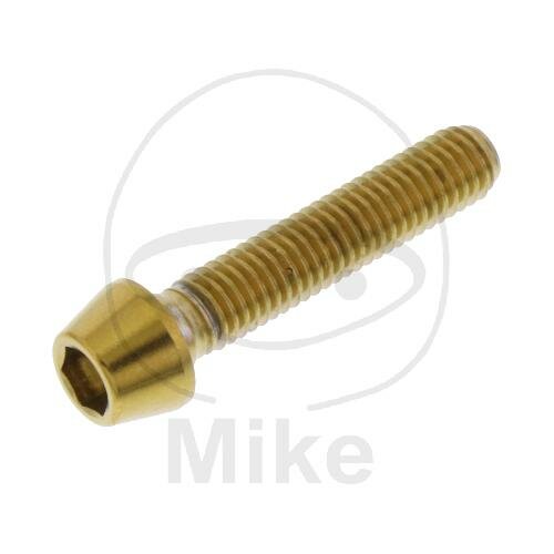 SCHR KON M5X0.8MM 25MM VA A4 GO