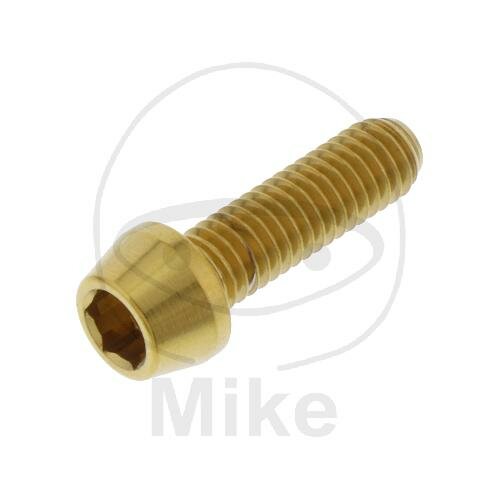 SCHR KON M6X1.00MM 20MM VA A4 GO