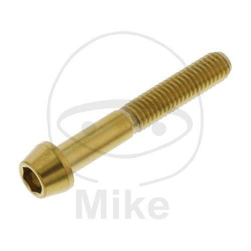 SCHR KON M6X1.00MM 40MM VA A4 GO