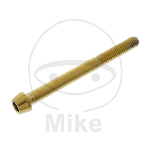 SCHR KON M6X1.00MM 65MM VA A4 GO