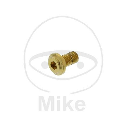 Schraube M8x1x13 für Ducati 796 848 1098 1100 1198 1199 1200 1299