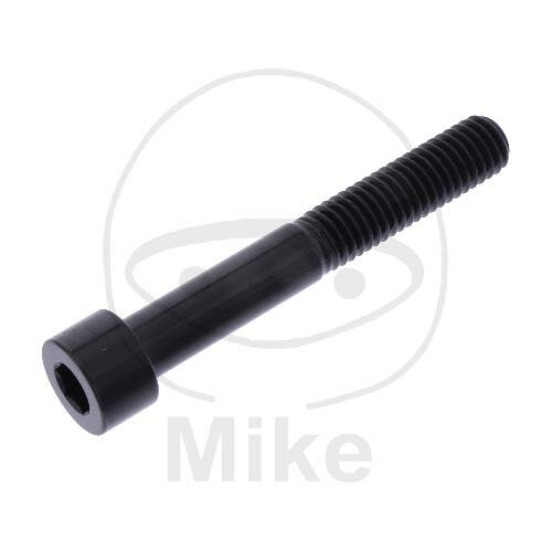 SCHR ZYL M8X1.25MM 55MM VA A4 SW