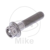 SCHR 6KT M6X1.00MM 25MM TI RAC