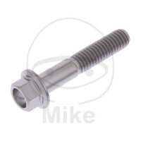 SCHR 6KT M6X1.00MM 32MM TI