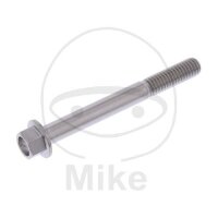 SCHR 6KT M6X1.00MM 55MM TI