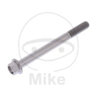 SCHR 6KT M6X1.00MM 65MM TI