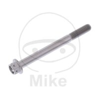 SCHR 6KT M6X1.00MM 65MM TI RAC