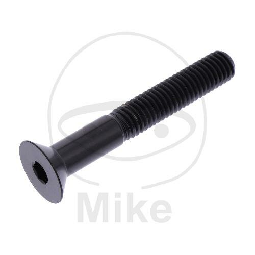 SCHR SENK M8X1.25MM 55MM TI SW