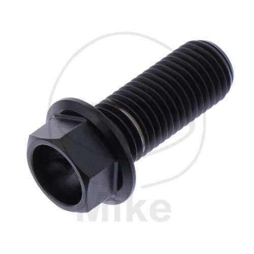 SCHR 6KT M10X1.25MM 25MM TI SW