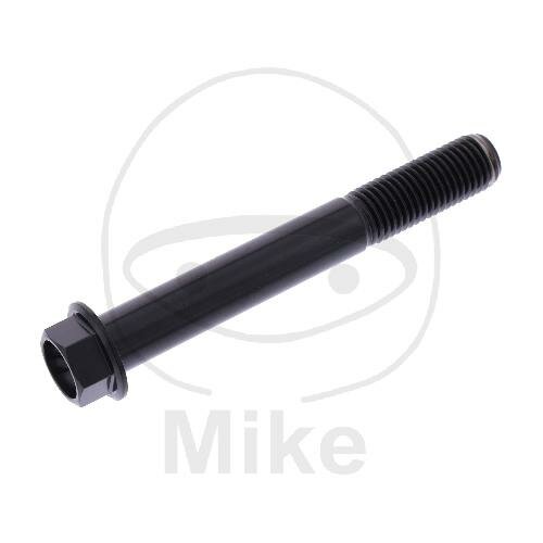 SCHR 6KT M10X1.25MM 75MM TI SW