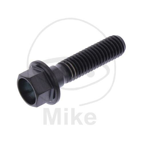 SCHR 6KT M5X0.8MM 20MM TI SW