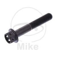 SCHR 6KT M5X0.8MM 30MM TI SW