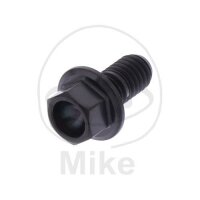 SCHR 6KT M6X1.00MM 12MM TI SW