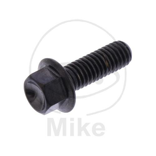 SCHR 6KT M6X1.00MM 18MM TI SW