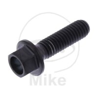 SCHR 6KT M6X1.00MM 22MM TI SW