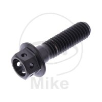 SCHR 6KT M6X1.00MM 22MM TI RAC SW