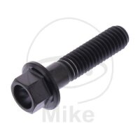 SCHR 6KT M6X1.00MM 25MM TI SW