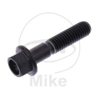 SCHR 6KT M6X1.00MM 28MM TI SW