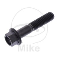 SCHR 6KT M6X1.00MM 30MM TI SW