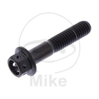 SCHR 6KT M6X1.00MM 30MM TI RAC SW