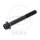 SCHR 6KT M6X1.00MM 45MM TI RAC SW