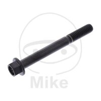 SCHR 6KT M6X1.00MM 55MM TI SW