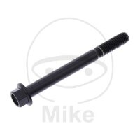 SCHR 6KT M6X1.00MM 60MM TI SW