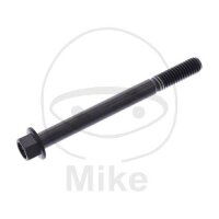 SCHR 6KT M6X1.00MM 65MM TI SW