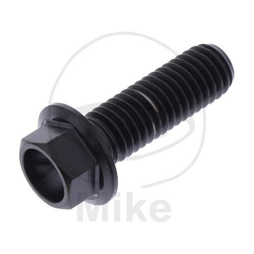 SCHR 6KT M8X1.25MM 25MM TI SW